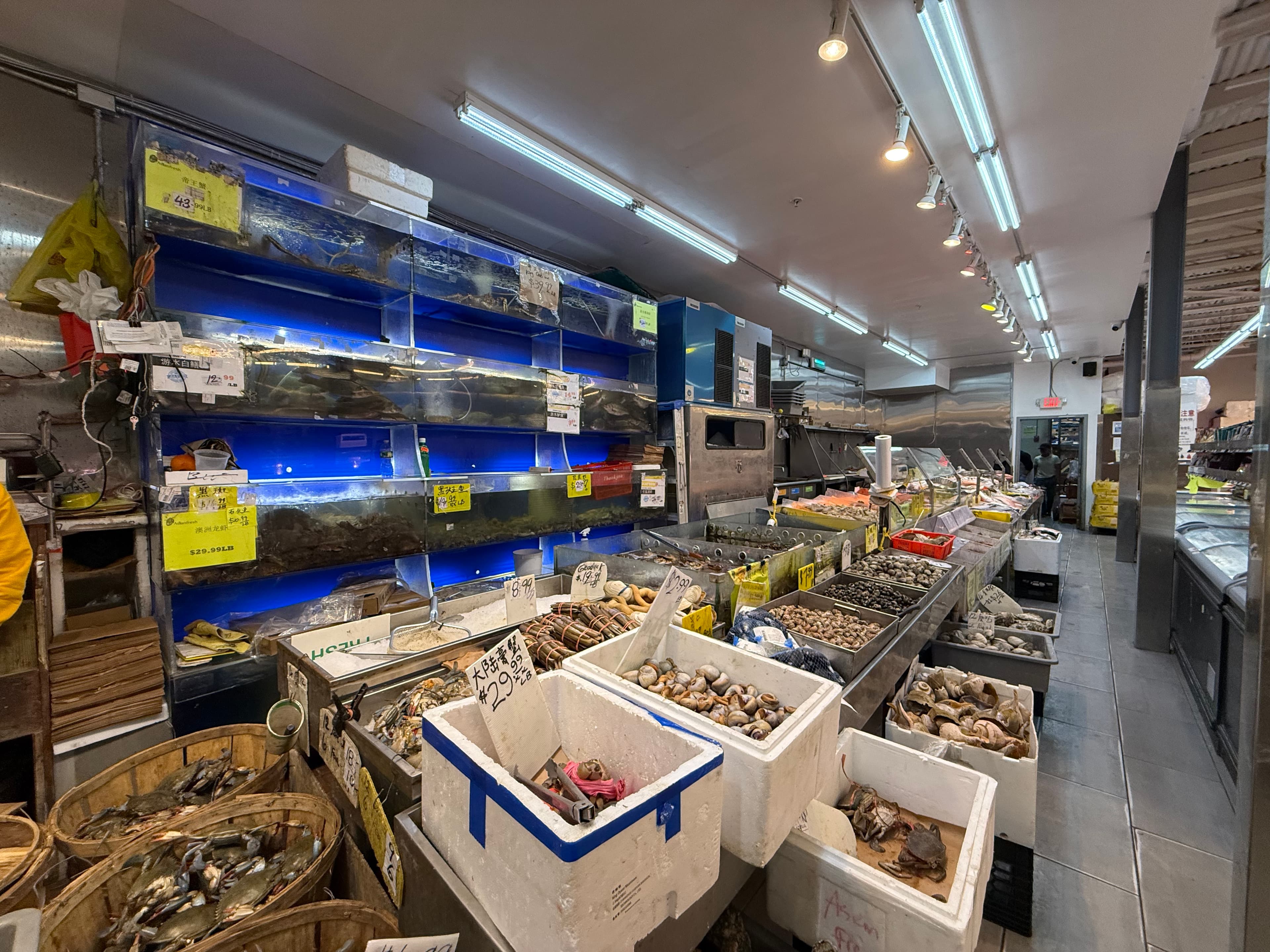 Store Image 2